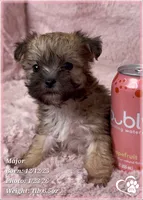 processed/b0d43c2c-d504-4048-8ecb-c22f08de82d3/listing/e3abcda5-df26-46b5-8cf7-71202350cb66/19a93b63-3419-4db1-8792-158ddc3424bc