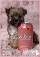 processed/b0d43c2c-d504-4048-8ecb-c22f08de82d3/listing/e3abcda5-df26-46b5-8cf7-71202350cb66/3ac5089c-88df-4ed3-8dcd-a40ab510e861