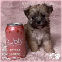 processed/b0d43c2c-d504-4048-8ecb-c22f08de82d3/listing/e3abcda5-df26-46b5-8cf7-71202350cb66/3fb922f8-0aa3-465d-9a6c-efec46caa9a3