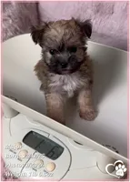 processed/b0d43c2c-d504-4048-8ecb-c22f08de82d3/listing/e3abcda5-df26-46b5-8cf7-71202350cb66/525f90bc-6839-49a4-8eea-1d7d1bf146fa