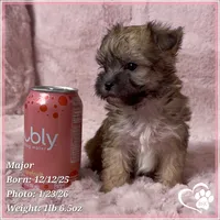 processed/b0d43c2c-d504-4048-8ecb-c22f08de82d3/listing/e3abcda5-df26-46b5-8cf7-71202350cb66/5341cecf-34e0-4fef-b8dc-16bb824ce8ed