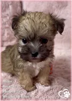 processed/b0d43c2c-d504-4048-8ecb-c22f08de82d3/listing/e3abcda5-df26-46b5-8cf7-71202350cb66/6c473958-1bb3-485d-898f-366929421d8c