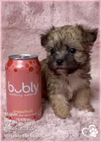 processed/b0d43c2c-d504-4048-8ecb-c22f08de82d3/listing/e3abcda5-df26-46b5-8cf7-71202350cb66/b549820a-d258-4e67-bf97-66127171ef0b