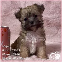 processed/b0d43c2c-d504-4048-8ecb-c22f08de82d3/listing/e3abcda5-df26-46b5-8cf7-71202350cb66/bd453ddf-5239-4289-ab89-34e9ac46069b