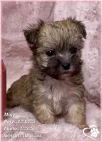 processed/b0d43c2c-d504-4048-8ecb-c22f08de82d3/listing/e3abcda5-df26-46b5-8cf7-71202350cb66/f8d5e593-54a8-4065-921f-9acd7790de81