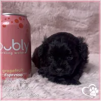 processed/b0d43c2c-d504-4048-8ecb-c22f08de82d3/listing/e8404c34-5dae-4674-ac09-9951603defe1/0a49e4bd-fb99-46a0-8cc4-2d2fc74b249c