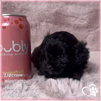 processed/b0d43c2c-d504-4048-8ecb-c22f08de82d3/listing/e8404c34-5dae-4674-ac09-9951603defe1/491eb599-839c-4e16-81a3-96a413274a79