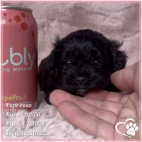 processed/b0d43c2c-d504-4048-8ecb-c22f08de82d3/listing/e8404c34-5dae-4674-ac09-9951603defe1/b3d979a2-db79-431a-9465-beec5a57a8b1