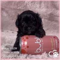 processed/b0d43c2c-d504-4048-8ecb-c22f08de82d3/listing/e8404c34-5dae-4674-ac09-9951603defe1/f341f938-f30c-4b11-863b-40931e2e34f7