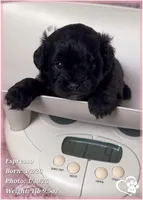 processed/b0d43c2c-d504-4048-8ecb-c22f08de82d3/listing/e8404c34-5dae-4674-ac09-9951603defe1/f6962447-b348-4031-841a-226117ffa430