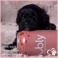 processed/b0d43c2c-d504-4048-8ecb-c22f08de82d3/listing/e8404c34-5dae-4674-ac09-9951603defe1/ff5e1f20-a15f-4201-8677-3086b498a5a9