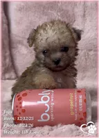 processed/b0d43c2c-d504-4048-8ecb-c22f08de82d3/listing/ef9b0afc-f660-4fb0-a85d-571e2be96f29/2235ba86-09ff-4aed-9039-d3f8cf2b0965