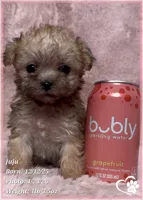 processed/b0d43c2c-d504-4048-8ecb-c22f08de82d3/listing/ef9b0afc-f660-4fb0-a85d-571e2be96f29/38fd8f09-df50-4842-ac19-019265a5b817