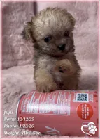 processed/b0d43c2c-d504-4048-8ecb-c22f08de82d3/listing/ef9b0afc-f660-4fb0-a85d-571e2be96f29/931975bb-20ac-46c5-9d9b-939ba5b8f450