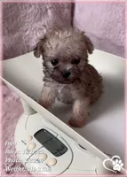 processed/b0d43c2c-d504-4048-8ecb-c22f08de82d3/listing/ef9b0afc-f660-4fb0-a85d-571e2be96f29/ad9b5a31-78ca-4283-a3b1-b4382a14b213