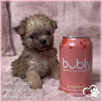 processed/b0d43c2c-d504-4048-8ecb-c22f08de82d3/listing/ef9b0afc-f660-4fb0-a85d-571e2be96f29/ccc835ab-e650-483c-bdfd-3dde1ec757b3