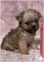 processed/b0d43c2c-d504-4048-8ecb-c22f08de82d3/listing/ef9b0afc-f660-4fb0-a85d-571e2be96f29/f9fbfd56-b793-41c4-93ba-1f4354e119df