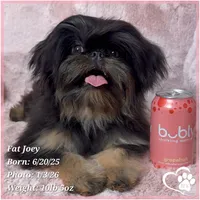 processed/b0d43c2c-d504-4048-8ecb-c22f08de82d3/listing/ff6278eb-898b-43df-83ee-08485a833a70/145b3f97-19c5-4327-9935-c0eb3ca1dd41