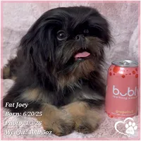 processed/b0d43c2c-d504-4048-8ecb-c22f08de82d3/listing/ff6278eb-898b-43df-83ee-08485a833a70/1b2c45dd-3e46-4ac9-a47a-5becf5006785