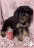 processed/b0d43c2c-d504-4048-8ecb-c22f08de82d3/listing/ff6278eb-898b-43df-83ee-08485a833a70/5f638ed0-448c-4d50-b203-84867211f50e