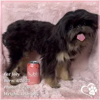 processed/b0d43c2c-d504-4048-8ecb-c22f08de82d3/listing/ff6278eb-898b-43df-83ee-08485a833a70/896a84c3-c75f-4929-9b0d-7a8933a53efc