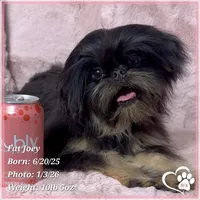 processed/b0d43c2c-d504-4048-8ecb-c22f08de82d3/listing/ff6278eb-898b-43df-83ee-08485a833a70/8cf62244-a61b-49aa-8bff-b41b2d4bf796