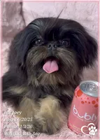 processed/b0d43c2c-d504-4048-8ecb-c22f08de82d3/listing/ff6278eb-898b-43df-83ee-08485a833a70/c4d03823-ca0b-44ec-9fa3-fa7b37fd0af8