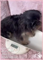 processed/b0d43c2c-d504-4048-8ecb-c22f08de82d3/listing/ff6278eb-898b-43df-83ee-08485a833a70/ccc96207-1d55-4380-a4b4-9fbe37bd4a99