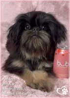 processed/b0d43c2c-d504-4048-8ecb-c22f08de82d3/listing/ff6278eb-898b-43df-83ee-08485a833a70/d2a8dea9-c166-404d-aac5-ae71d58f23df