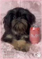 processed/b0d43c2c-d504-4048-8ecb-c22f08de82d3/listing/ff6278eb-898b-43df-83ee-08485a833a70/e8361382-c43e-4b0f-9115-00d1fd54b598