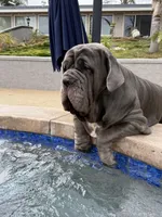 processed/b0df257c-44d6-4fdb-ae72-445a9eb79f37/facility/0034d798-efc1-4919-abb5-7c43fc3b4dbc