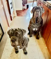 processed/b0df257c-44d6-4fdb-ae72-445a9eb79f37/facility/82c2500c-026f-48a8-aeb7-39ba9a30b308