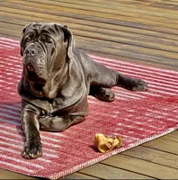 processed/b0df257c-44d6-4fdb-ae72-445a9eb79f37/facility/839d6a35-ea0f-45f5-ae21-38ae4071071d