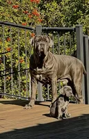 processed/b0df257c-44d6-4fdb-ae72-445a9eb79f37/facility/c89f3dbe-3e96-40b0-8acf-372354518b5b