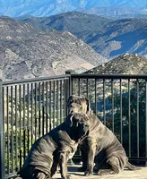 processed/b0df257c-44d6-4fdb-ae72-445a9eb79f37/facility/ede12a92-ac54-48f4-9535-353a91cd7e50