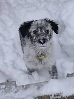 processed/b0dff850-601e-4152-952e-06737f3eb4fc/listing/c7181aef-002f-4687-9625-c9c8922a232c/04b76588-843a-46d4-b9de-c67fa169b39f