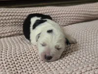 processed/b0dff850-601e-4152-952e-06737f3eb4fc/listing/c7181aef-002f-4687-9625-c9c8922a232c/54f4eb97-c70f-47ca-9d45-aab6bf06ee73