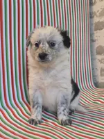 processed/b0dff850-601e-4152-952e-06737f3eb4fc/listing/c7181aef-002f-4687-9625-c9c8922a232c/5fb7ae00-3433-4e28-b4f9-55ce5e5029ec