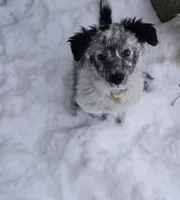 processed/b0dff850-601e-4152-952e-06737f3eb4fc/listing/c7181aef-002f-4687-9625-c9c8922a232c/b07addf3-b412-4fee-9a00-7a2a0d0d7109