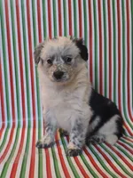 processed/b0dff850-601e-4152-952e-06737f3eb4fc/listing/c7181aef-002f-4687-9625-c9c8922a232c/ebebf44f-425f-459a-9b0d-e62cba20101c