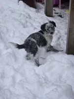 processed/b0dff850-601e-4152-952e-06737f3eb4fc/listing/c7181aef-002f-4687-9625-c9c8922a232c/fae2a26c-29e0-4b5b-8127-c64eacce30f6