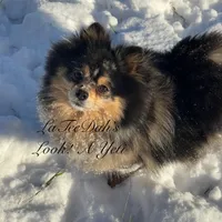 processed/b0e5f1be-50b2-48bd-81b0-84a26f9c7a2c/facility/181ae4df-867e-41bc-b16e-088576aa57fd