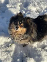 processed/b0e5f1be-50b2-48bd-81b0-84a26f9c7a2c/facility/181ae4df-867e-41bc-b16e-088576aa57fd