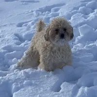 processed/b0e5f1be-50b2-48bd-81b0-84a26f9c7a2c/facility/2d0d90dd-a15d-4227-b245-16d33fd61294