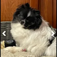 processed/b0e5f1be-50b2-48bd-81b0-84a26f9c7a2c/facility/2ebc6049-45ff-45f4-9f58-54bf2c677453