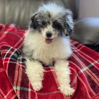 processed/b0e5f1be-50b2-48bd-81b0-84a26f9c7a2c/facility/375e9b8b-e3fb-4fc0-a8b7-2512e17463af