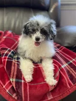 processed/b0e5f1be-50b2-48bd-81b0-84a26f9c7a2c/facility/375e9b8b-e3fb-4fc0-a8b7-2512e17463af