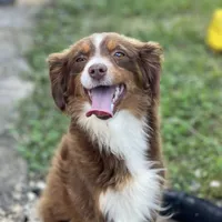 processed/b0e5f1be-50b2-48bd-81b0-84a26f9c7a2c/facility/fd6cfc40-5977-4918-bdf1-92eb3e575f06