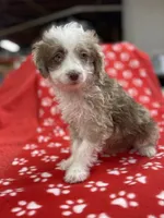 processed/b0e5f1be-50b2-48bd-81b0-84a26f9c7a2c/listing/e92f2e5f-77ca-45f2-80e2-6ec75e2ce24b/3dd3f55d-d88d-4468-b038-2c27810c5a35