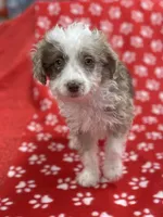 processed/b0e5f1be-50b2-48bd-81b0-84a26f9c7a2c/listing/e92f2e5f-77ca-45f2-80e2-6ec75e2ce24b/86f34c43-1aaa-4e3e-ab35-7a8dc2c37321